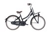 FIETSEN 20 INCH
