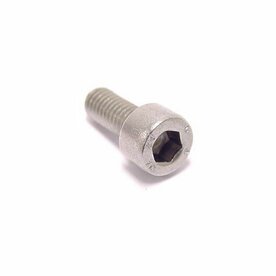 Inbusbout m5x10 rvs