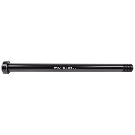 Steekas m12x1.0 173 mm lang 