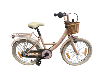 bike fun 18 girly roze meisjes met mand